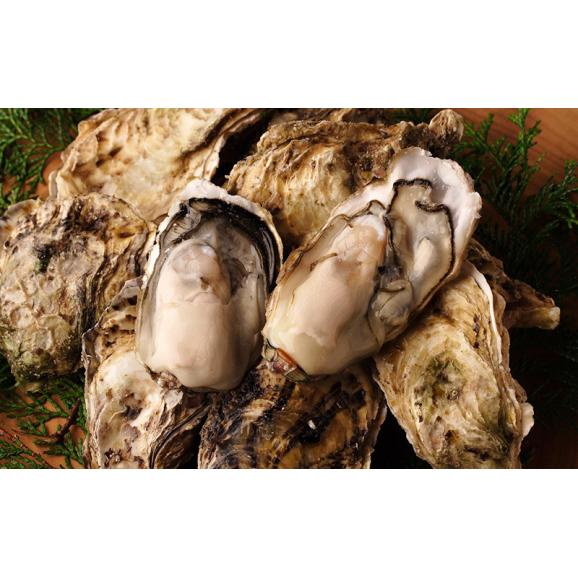 送料無料 九十九島産 殻付き生牡蠣2kg Uv殺菌済 安心安全 生食可 開け方ガイド付 リピーター向け 北海道 沖縄は別途送料850円 有限会社 マルモ水産の通販 お取り寄せなら ぐるすぐり 送料無料 九十九島産 殻付き生牡蠣2kg Uv殺菌済 安心安全 生食可 開け方ガイド付 リピーター向け 北海道 沖縄は別途送料850円 有限会社 マルモ水産の通販 お取り寄せなら ぐるすぐり