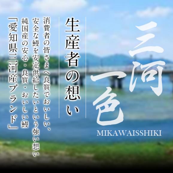 三河一色産炭火焼き活うなぎ 白焼き ６尾入り うなぎのしろむらの通販 お取り寄せなら ぐるすぐり