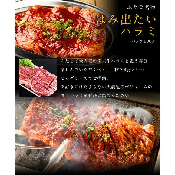 セール ぐるなび限定セット 厚切り牛タンステーキセット 全4品合計1 0ｋｇ 大阪焼肉 ホルモンふたごの通販 お取り寄せなら ぐるすぐり