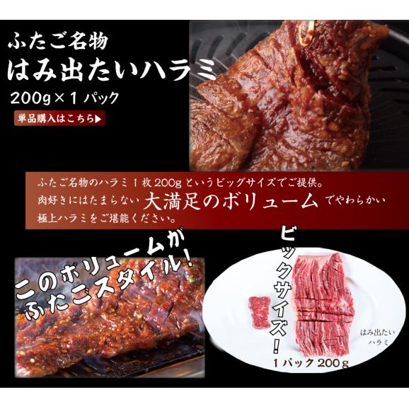 【送料無料】ふたごの極上焼肉Z福袋　合計7品セット04
