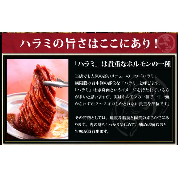 ふたご名物はみ出たいハラミ メガ盛セット1kg 大阪焼肉 ホルモンふたごの通販 お取り寄せなら ぐるすぐり