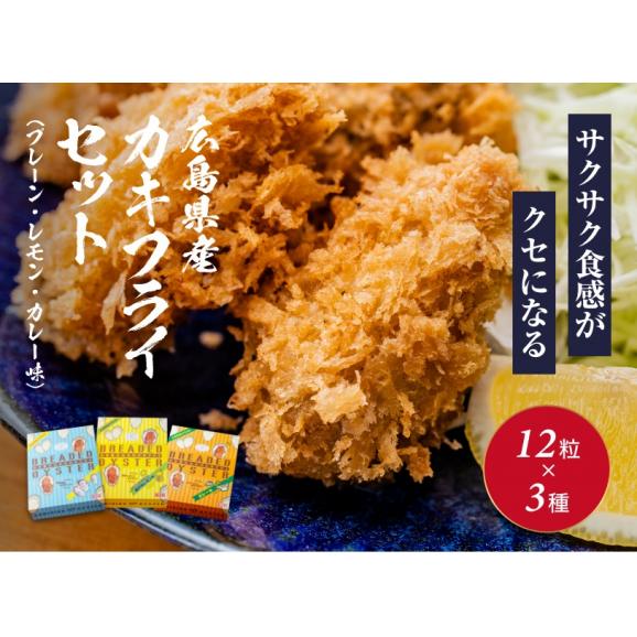 カキフライ ３種食べ比べセット（プレーン・瀬戸内レモン・カレー味）01