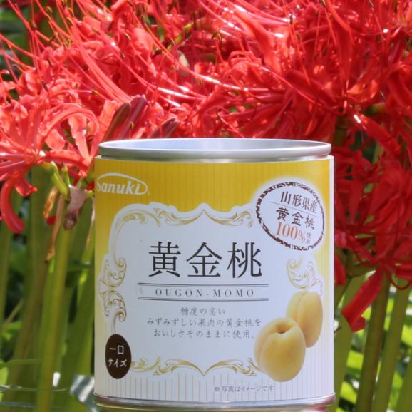 山形県産黄金桃缶詰 一口サイズ フルーツ 桃 スイーツ ギフト お土産 おすすめ 秋田県由利本荘市 お中元 お歳暮 菅内閣が発足しましたー 経済もっともっと上向きになぁれ いっぺぇ売れてけれ さぬきかんづめの通販 お取り寄せなら ぐるすぐり