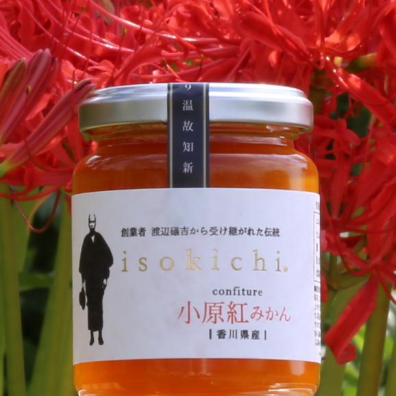 Isokichiconfiture 香川県産 小原紅みかん ジャム ふるさと納税 ギフト 三豊市 お中元 お歳暮 菅内閣が発足しましたー 経済もっともっと上向きになぁれ いっぺぇ売れてけれ さぬきかんづめの通販 お取り寄せなら ぐるすぐり Isokichiconfiture 香川県産 小原紅みかん ジャム ふるさと納税 ギフト 三豊市 お中元 お歳暮 菅内閣が発足しましたー 経済もっともっと上向きになぁれ いっぺぇ売れてけれ さぬきかんづめの通販 お取り寄せなら ぐるすぐり