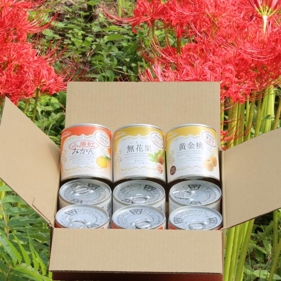 茶箱国産フルーツ9缶セット 香川県 小原紅みかん 無花果 山形県 黄金桃 三豊市 秋田県 おすすめ お中元 お歳暮 菅内閣が発足しましたー 経済もっともっと上向きになぁれ いっぺぇ売れてけれ さぬきかんづめの通販 お取り寄せなら ぐるすぐり 茶箱国産フルーツ9缶セット 香川県 小原紅みかん 無花果 山形県 黄金桃 三豊市 秋田県 おすすめ お中元 お歳暮 菅内閣が発足しましたー 経済もっともっと上向きになぁれ いっぺぇ売れてけれ さぬきかんづめの通販 お取り寄せなら ぐるすぐり