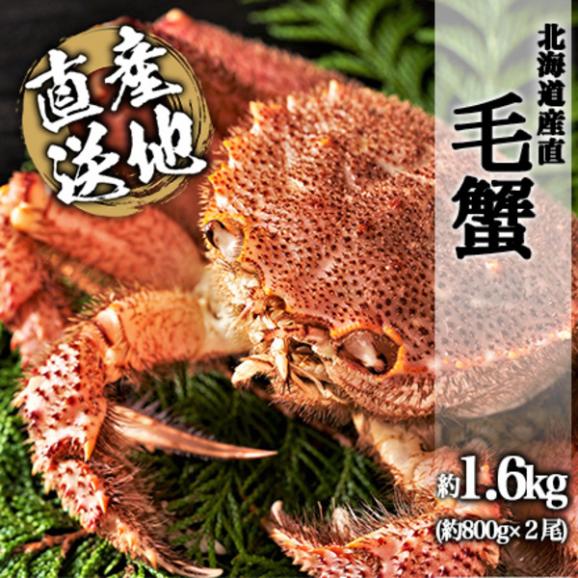 送料無料 北海道産 毛ガニ 800g前後 毛蟹 ケガニ 毛かに 毛がに Gotuo ごっつお の通販 お取り寄せなら ぐるすぐり