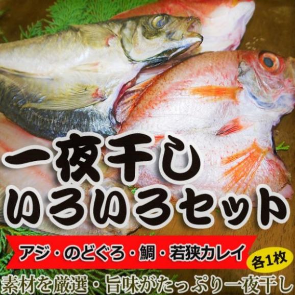 送料無料 福井県三国名産 一夜干しいろいろセット Gotuo ごっつお の通販 お取り寄せなら ぐるすぐり