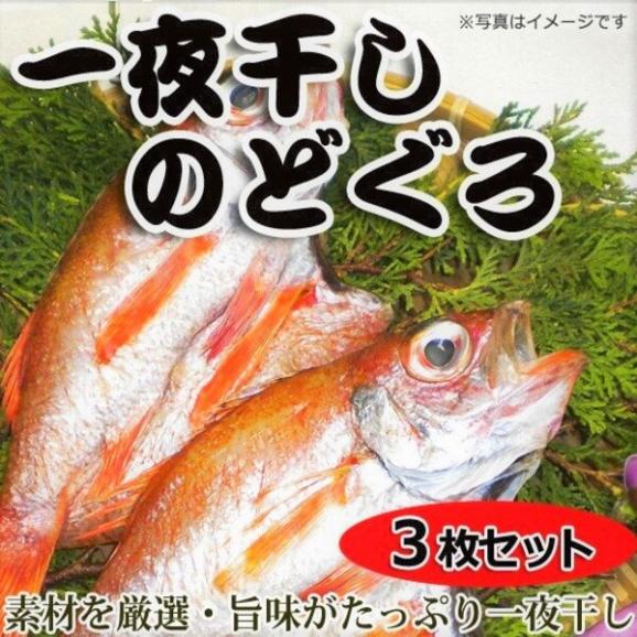 送料無料 福井県三国名産 一夜干しのどぐろセット Gotuo ごっつお の通販 お取り寄せなら ぐるすぐり