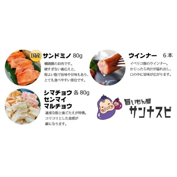 【送料無料】店長厳選焼肉１１種盛り 焼肉セット 5人前 焼き肉05