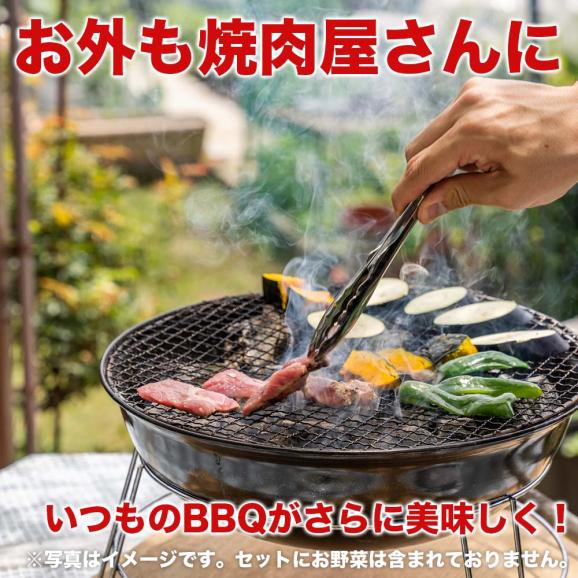 【送料無料】厳選赤身肉 焼き肉セット 五種盛り(3人前)03