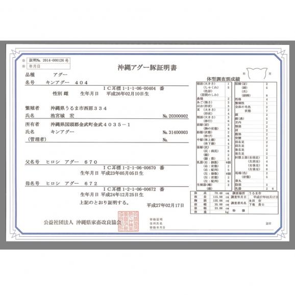 送料無料 幻の豚 金アグー豚 沖縄でしか生産されていない貴重な豚肉のセット 約4人前 豊洲マルシェの通販 お取り寄せなら ぐるすぐり