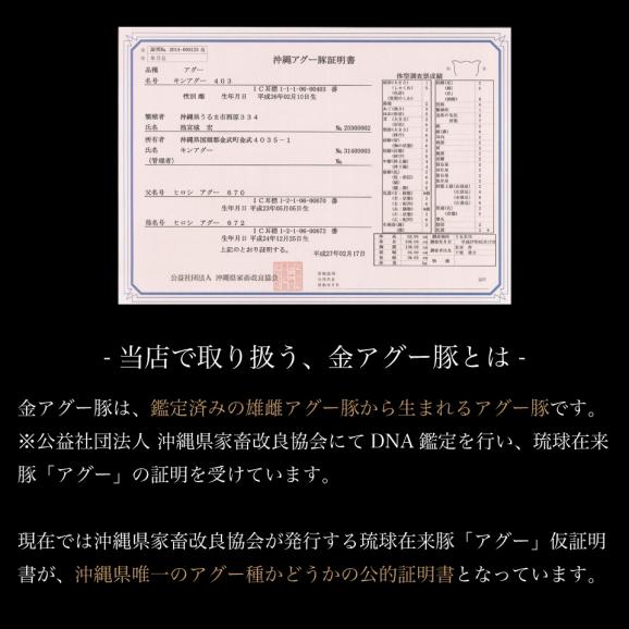 送料無料 幻の豚 金アグー豚 沖縄でしか生産されていない貴重な豚肉のセット 約4人前 豊洲マルシェの通販 お取り寄せなら ぐるすぐり