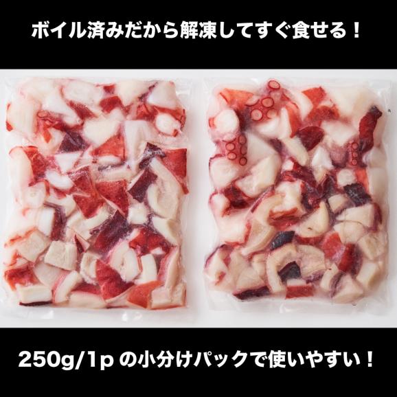 送料無料 在庫処分最安値 挑戦 長崎県産 天然 まだこ ぶつ切り 500g 250 2パック 大容量 たこ タコ 真蛸 たこ焼き アヒージョ 刺身 生食 可能 豊洲マルシェの通販 お取り寄せなら ぐるすぐり