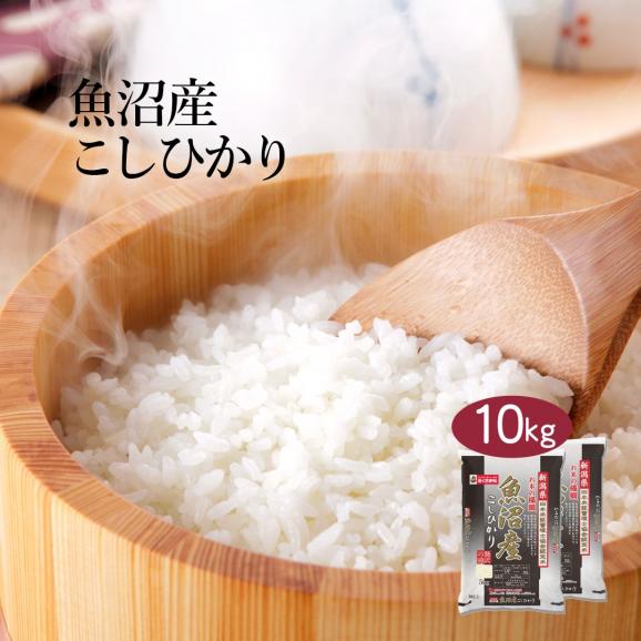 目玉価格 送料無料 令和3年産 特a 新潟県 魚沼産 こしひかり お米 10kg 5kg 2袋 白米 お米の横綱 単一原料米 おくさま印 送料込み 沖縄 離島除く 米匠庵ぐるすぐり店の通販 お取り寄せなら ぐるすぐり