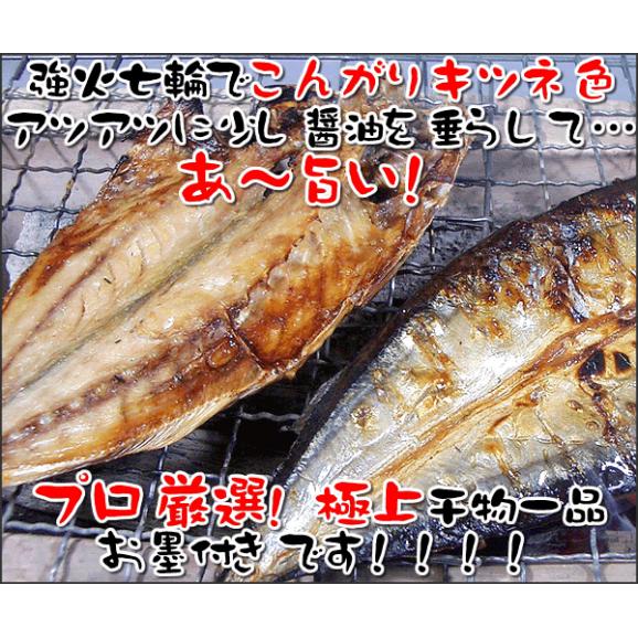 北海道 大型さんまの開き５枚セット 全国美味発掘 神戸中央卸売市場 財木の通販 お取り寄せなら ぐるすぐり