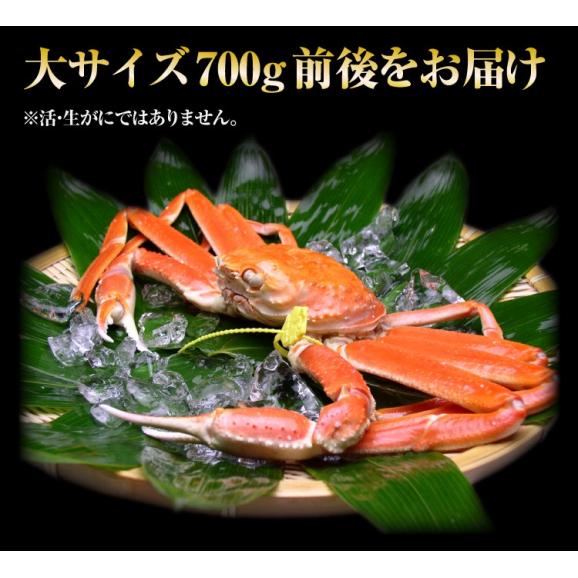 越前冬の味覚の王者 越前がに 大サイズ700g前後 黄色タグ付 茹でたて 産地直送 3 でかに漁終了 送料無料 ずわい蟹 越前カニ 越前かに 越前蟹 蟹 ますよね 越前かに問屋 ますよねの通販 お取り寄せなら ぐるすぐり 越前冬の味覚の王者 越前がに 大サイズ700g前後 黄色タグ付 茹でたて 産地直送 3 でかに漁終了 送料無料 ずわい蟹 越前カニ 越前かに 越前蟹 蟹 ますよね 越前かに問屋 ますよねの通販 お取り寄せなら ぐるすぐり