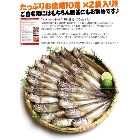 福井県産 ハタハタの干物お徳用匹入り はたはた ハタハタ 鰰 干物 送料無料 ますよね 越前かに問屋 ますよねの通販 お取り寄せなら ぐるすぐり