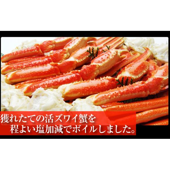 ボイル ズワイガニ 足 2kg前後 3 4人前 送料無料 蟹 カニ ズワイカニ ずわいがに ずわいかに ずわい蟹 ズワイ蟹 カニアシ 蟹足 ますよね 越前かに問屋 ますよねの通販 お取り寄せなら ぐるすぐり