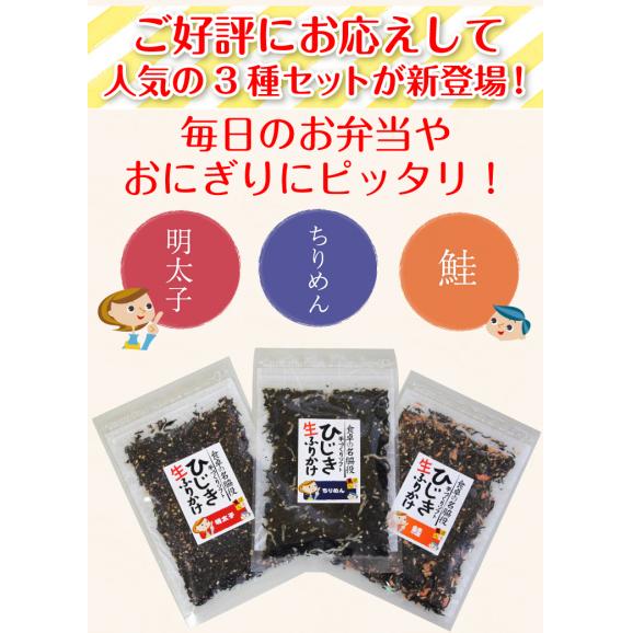 栄養豊富 しそ風味 ひじき生ふりかけ 明太子 ちりめん 鮭 3種類 各1袋 計3袋 ひじきふりかけ ひじき ヒジキ ふりかけ 生ふりかけ メール便 送料無料 ますよね 越前かに問屋 ますよねの通販 お取り寄せなら ぐるすぐり