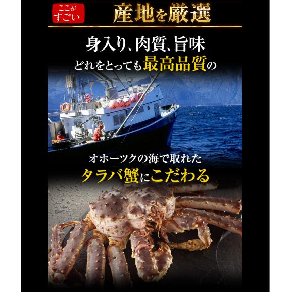 極上特大 タラバ蟹 ボイル 900g前後 送料無料 お歳暮 ギフト たらば たらば蟹 タラバガニ かに カニ ますよね 越前かに問屋 ますよねの通販 お取り寄せなら ぐるすぐり