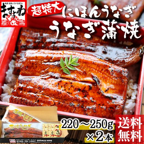 ニホンウナギ 超特大うなぎ蒲焼き500g 2 250g 2尾 台湾産 タレ 山椒付 にほんうなぎ ウナギ うなぎ ギフト お中元 父の日 送料無料 ますよね 越前かに問屋 ますよねの通販 お取り寄せなら ぐるすぐり