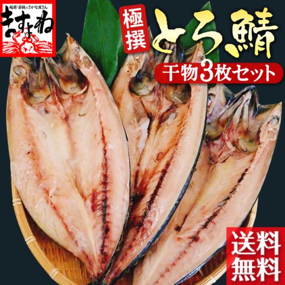 極撰干物 大判 肉厚 とろ鯖干物 3枚セット 約250g 3枚 さば サバ 干物 お歳暮 ギフト 送料無料 ますよね 越前かに問屋 ますよねの通販 お取り寄せなら ぐるすぐり