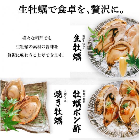 お刺身ok 兵庫県室津産 殻付き牡蠣 1kg前後 約12粒入 冷凍 高圧処理済みで簡単殻むき 送料無料 貝 かき カキ 生ガキ 生牡蠣 ギフト 御中元 ますよね 越前かに問屋 ますよねの通販 お取り寄せなら ぐるすぐり お刺身ok 兵庫県室津産 殻付き牡蠣 1kg前後 約12粒入 冷凍 高圧処理済みで簡単殻むき 送料無料 貝 かき カキ 生ガキ 生牡蠣 ギフト 御中元 ますよね 越前かに問屋 ますよねの通販 お取り寄せなら ぐるすぐり