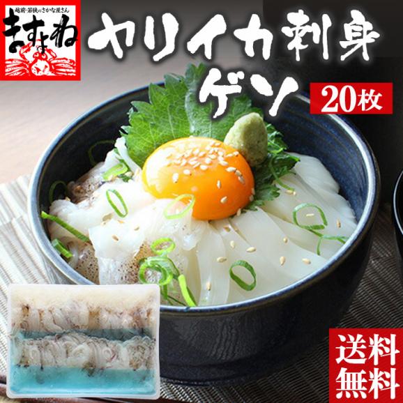 コリコリ新鮮 ヤリイカ刺身 ゲソ 枚 約140g 送料無料 やりいか 下足 げそ イカ いか イカ刺し ますよね 越前かに問屋 ますよねの通販 お取り寄せなら ぐるすぐり