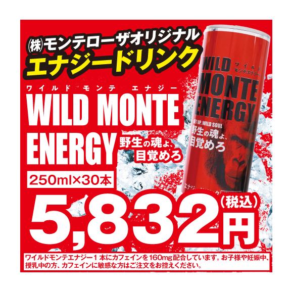 活力 健康 応援 野生の魂よ 目覚めろ エナジードリンク モンテショッピングの通販 お取り寄せなら ぐるすぐり