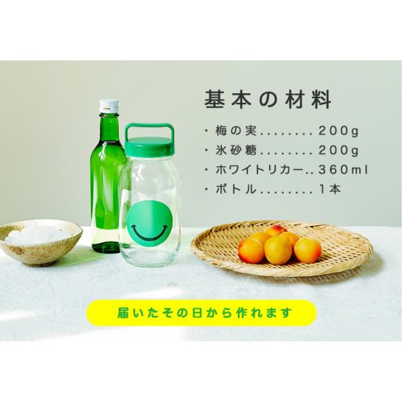 Nijyumaruセット お子様と一緒に作る手作り梅酒セット 900ml 1本 中野bc 株式会社の通販 お取り寄せなら ぐるすぐり Nijyumaruセット お子様と一緒に作る手作り梅酒セット 900ml 1本 中野bc 株式会社の通販 お取り寄せなら ぐるすぐり