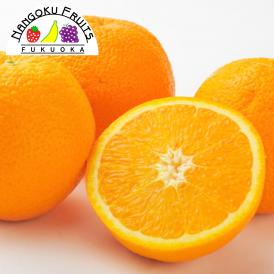 南国フルーツ・アメリカ産オレンジ　30玉