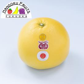 南国フルーツ・熊本産晩白柚4玉　