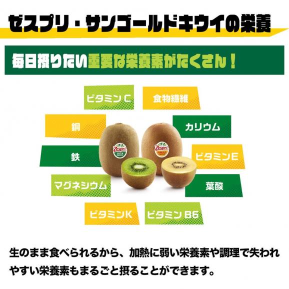 南国フルーツ・ニュージーランド産サンゴールドキウイM約6kg(60~66玉)