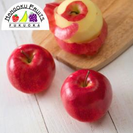 南国フルーツ・旬の赤りんご約10kg(36～40玉)