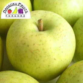 【予約販売】南国フルーツ・旬の青りんご約1.2kg(4～5玉)