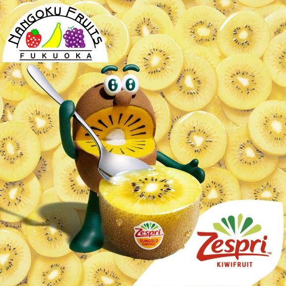 予約販売 南国フルーツ 国産ゼスプリ サンゴールドキウイ約1kg 南国フルーツの通販 お取り寄せなら ぐるすぐり