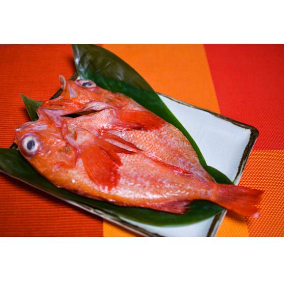 干物詰め合わせ 松 真あじ開き4枚 柳むしかれい 2枚 のどぐろ開き 1枚 きんき開き 1枚 甘鯛開き 1枚 株式会社 西秀商店の通販 お取り寄せなら ぐるすぐり