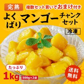 ［送料無料］よくばり冷凍 完熟マンゴーセット 1kg(500g×2袋)