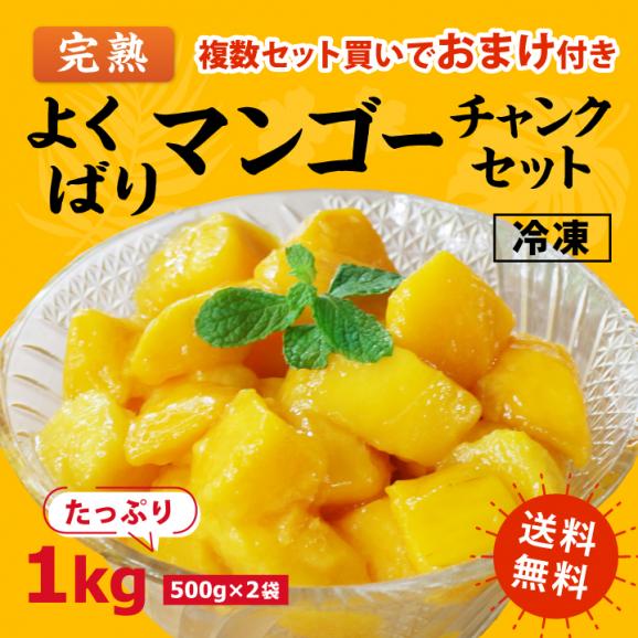 ［送料無料］よくばり冷凍 完熟マンゴーセット 1kg(500g×2袋)01