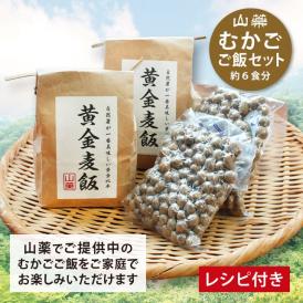 【箱根自然薯の森 山薬】自然薯むかごご飯セット