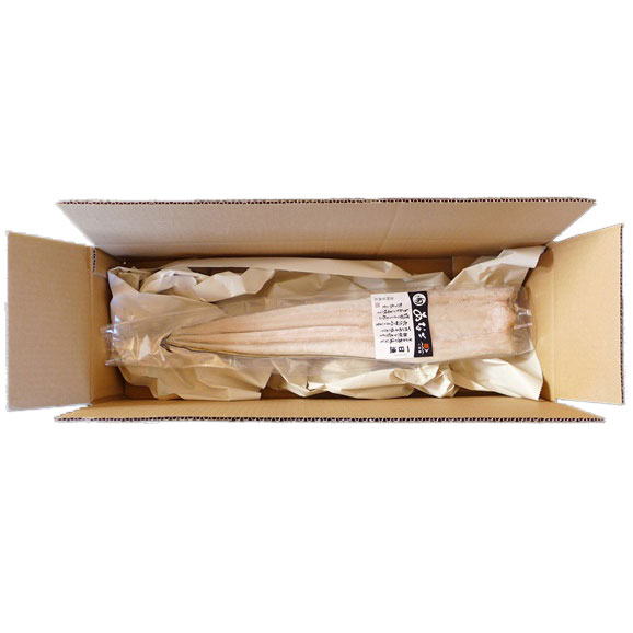 丸々と太った 真穴子 の一夜干が旨い 島根県大田市 一日漁 あなご一夜干し 大 1本 250 300g 有限会社 岡富商店の通販 お取り寄せなら ぐるすぐり