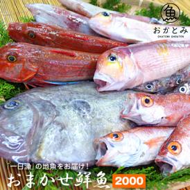 【一日漁】秋のおまかせ鮮魚2.000円（送料別途）※画像はイメージです。