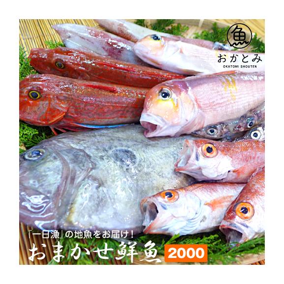 【一日漁】秋のおまかせ鮮魚2.000円（送料別途）※画像はイメージです。01