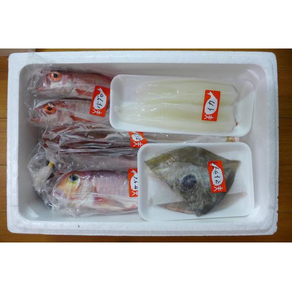 【一日漁】秋のおまかせ鮮魚2.000円（送料別途）※画像はイメージです。02
