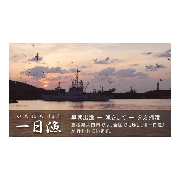 【一日漁】秋のおまかせ鮮魚2.000円（送料別途）※画像はイメージです。04
