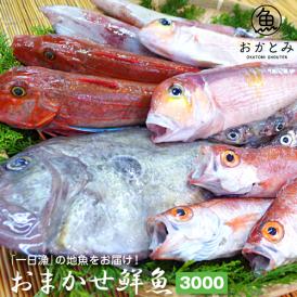 【一日漁】秋のおまかせ鮮魚3.000円（送料別途）※画像はイメージです。