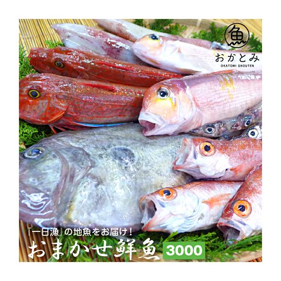 【一日漁】秋のおまかせ鮮魚3.000円（送料別途）※画像はイメージです。01