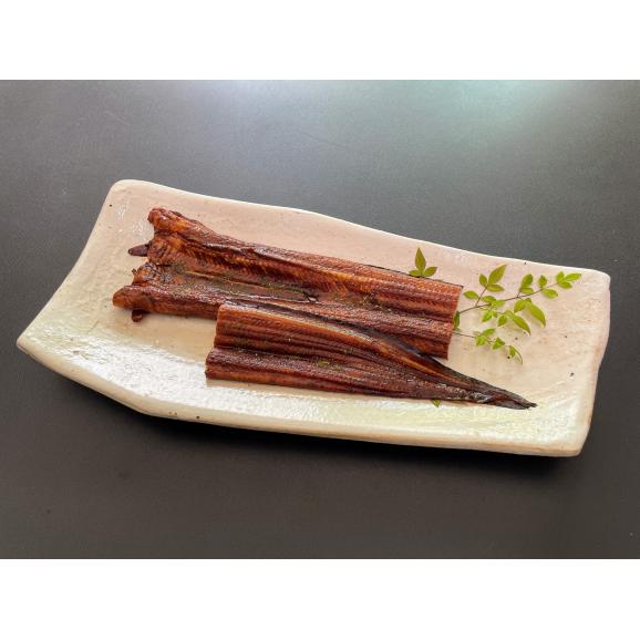 天女の羽衣 あなご蒲焼き 島根県産あなご 再仕込み醤油ダレでおいしい 1本 181 210g 有限会社 岡富商店の通販 お取り寄せなら ぐるすぐり