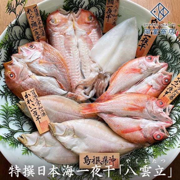 甘鯛 のどぐろ 甘鯛 鯛 いか かれい入り 本物にこだわるあの方へ 一日漁 旬獲れの100 無添加特撰日本海一夜干 送料無料 八雲立 やくもたつ 配送先が北海道 沖縄県の場合は送料がかかります 有限会社 岡富商店の通販 お取り寄せなら ぐるすぐり