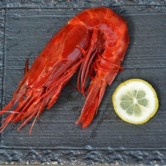 赤い悪魔 カラビネーロ 2尾 活海老バル Orb 福島店の通販 お取り寄せなら ぐるすぐり